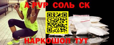индика Сланцы