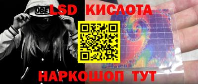 индика Сланцы