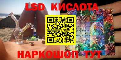 индика Сланцы