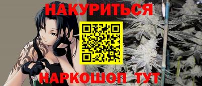 индика Сланцы