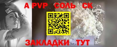 индика Сланцы