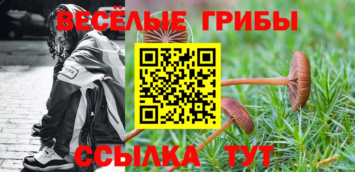 Галлюциногенные грибы мухоморы  Псилоцибиновые грибы Cubensis  где продают   Ялуторовск  Вход с VPN 